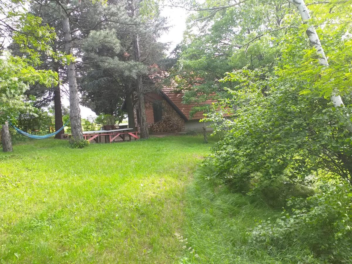 Lodging Vidmar Сремски-Карловци Экстерьер фото