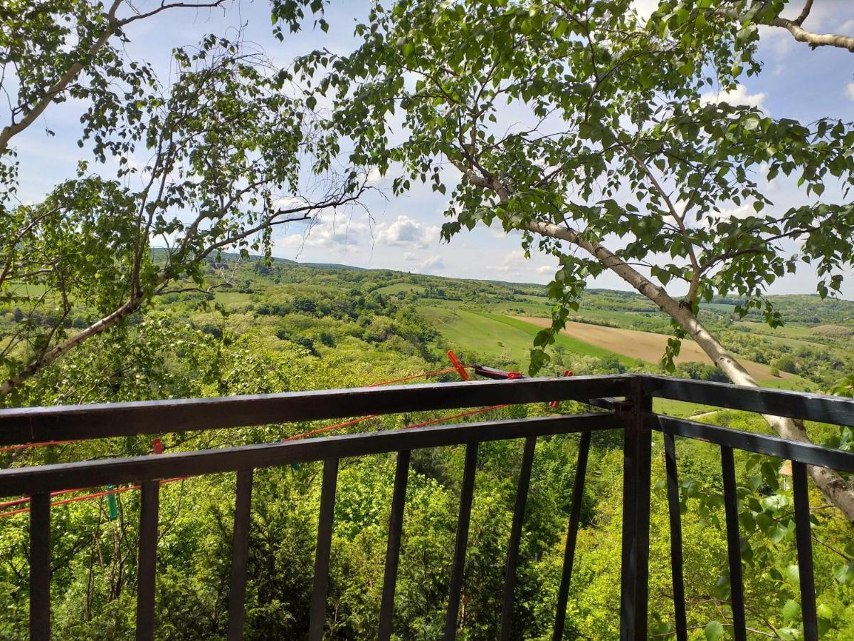 Lodging Vidmar Сремски-Карловци Экстерьер фото