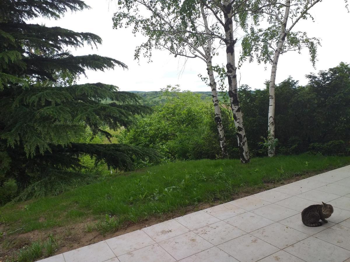 Lodging Vidmar Сремски-Карловци Экстерьер фото